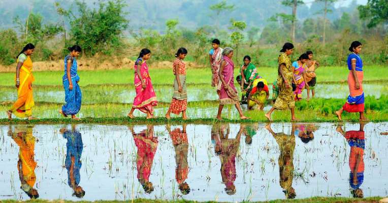 https://1ngo.sgp1.digitaloceanspaces.com/media/ajwa/Dalit_Farmers.jpg