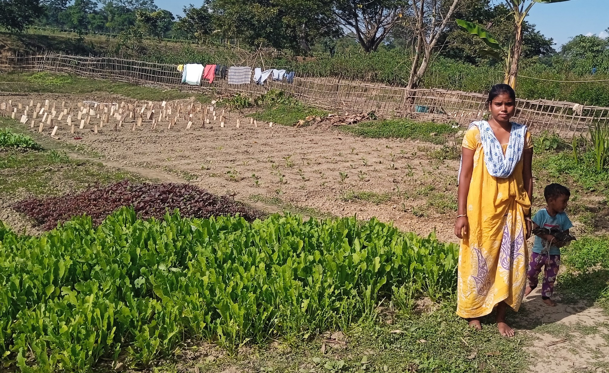 Gyanshala – Strengthening the Education Ecosystem in Tea Garden Areas