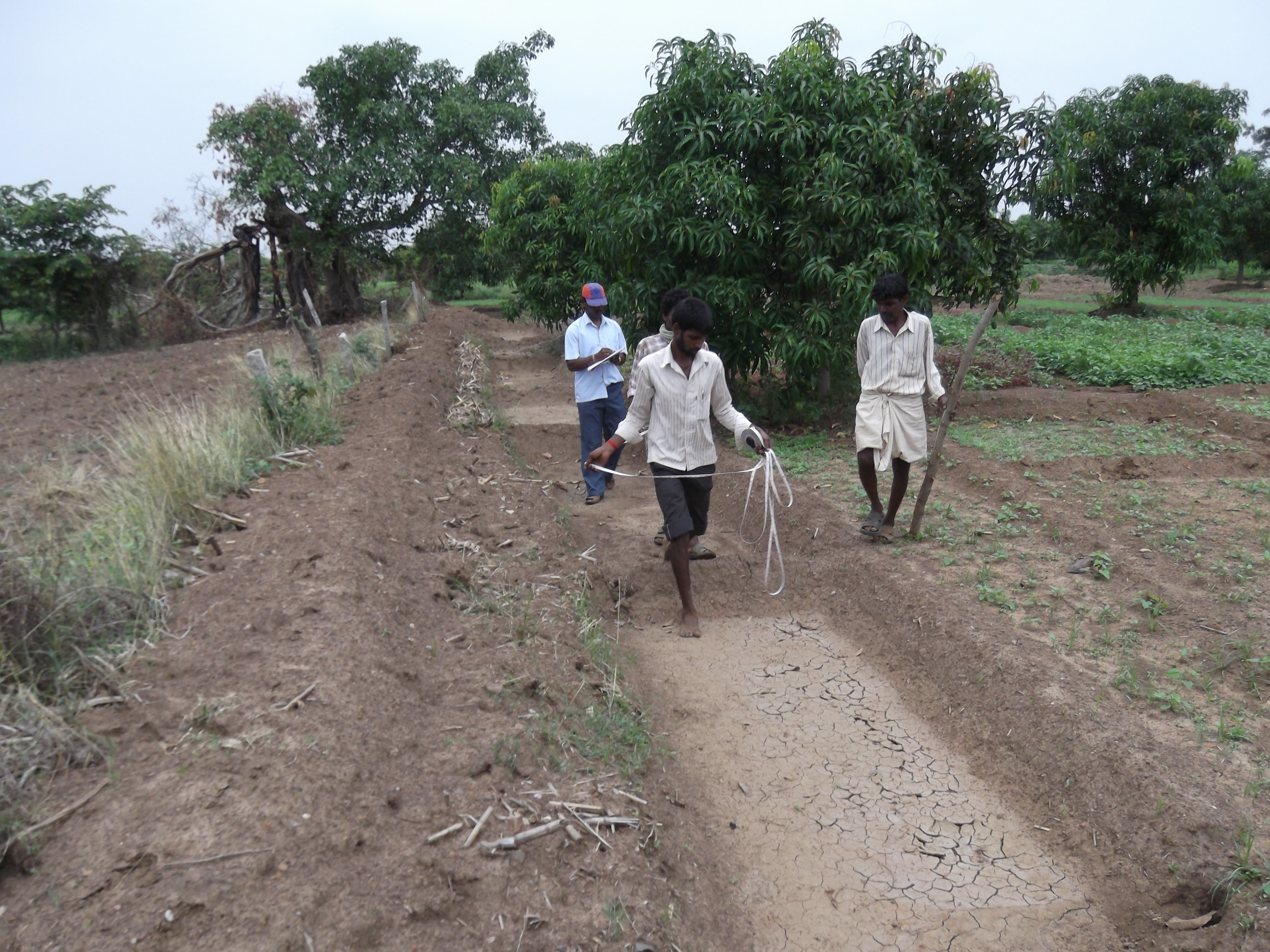 https://1ngo.sgp1.digitaloceanspaces.com/media/bsrds/BRDS-activity-soil_and_water_conservations.jpg