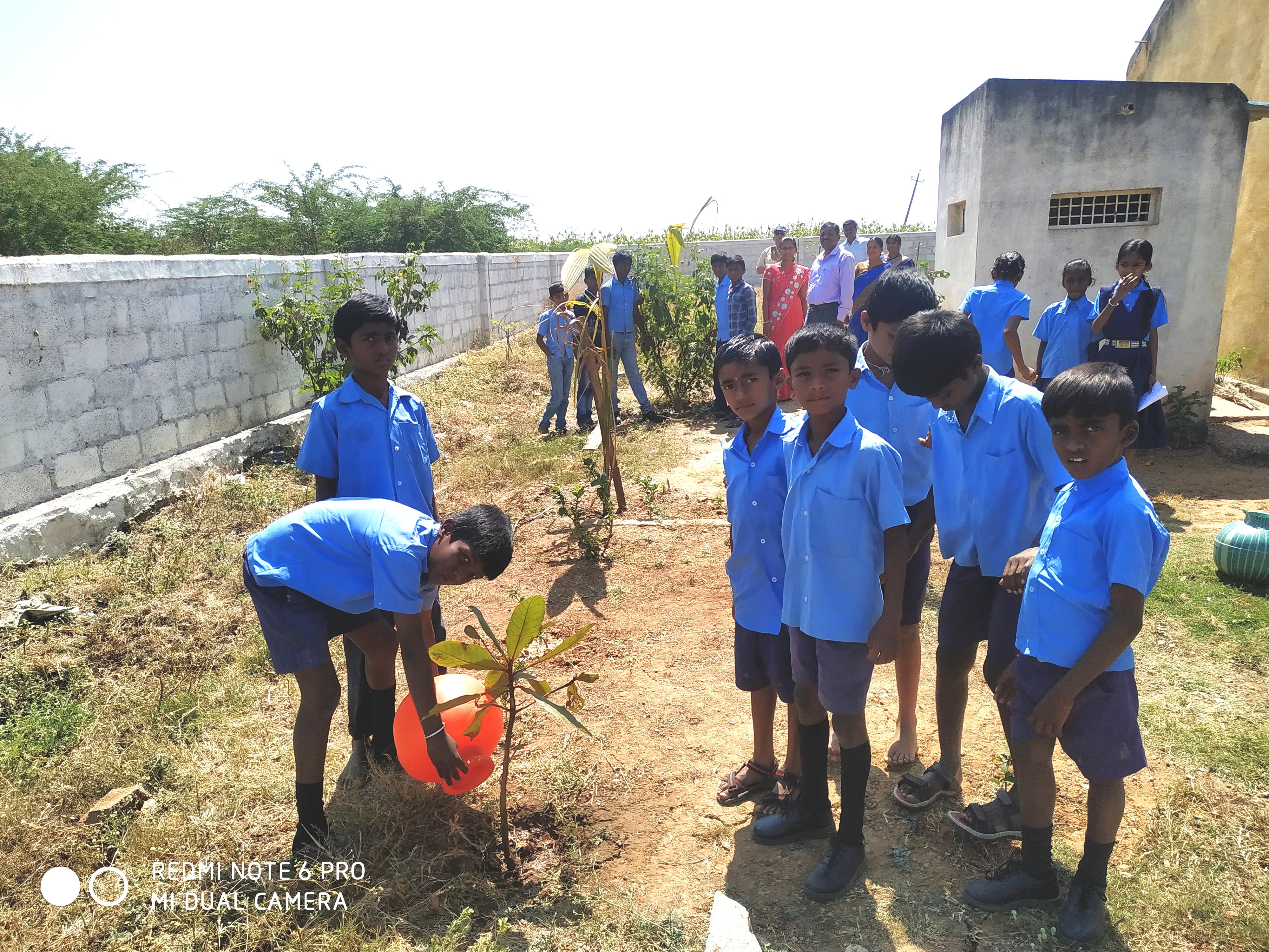https://1ngo.sgp1.digitaloceanspaces.com/media/cf/Tree_plantation_programme_17.02.2020.jpg