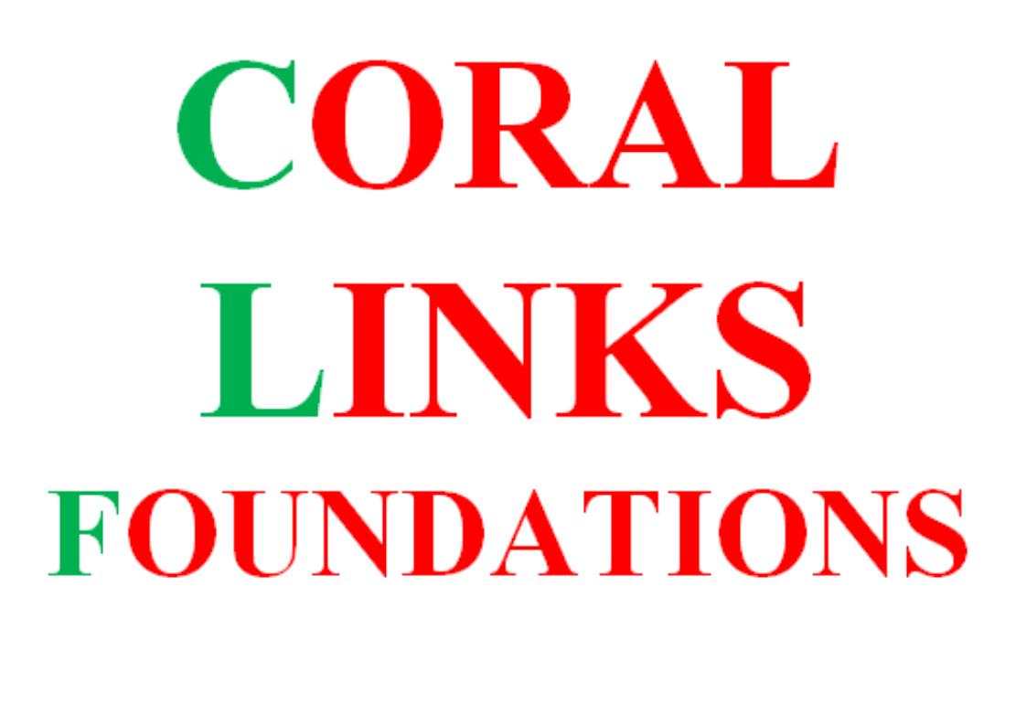 Voice of Needy Foundation Logo