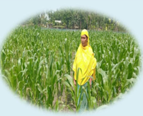 Anowara Bibi’s Journey Towards Food Security