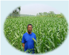 First-Time Maize Cultivation by Horichoron Daimary