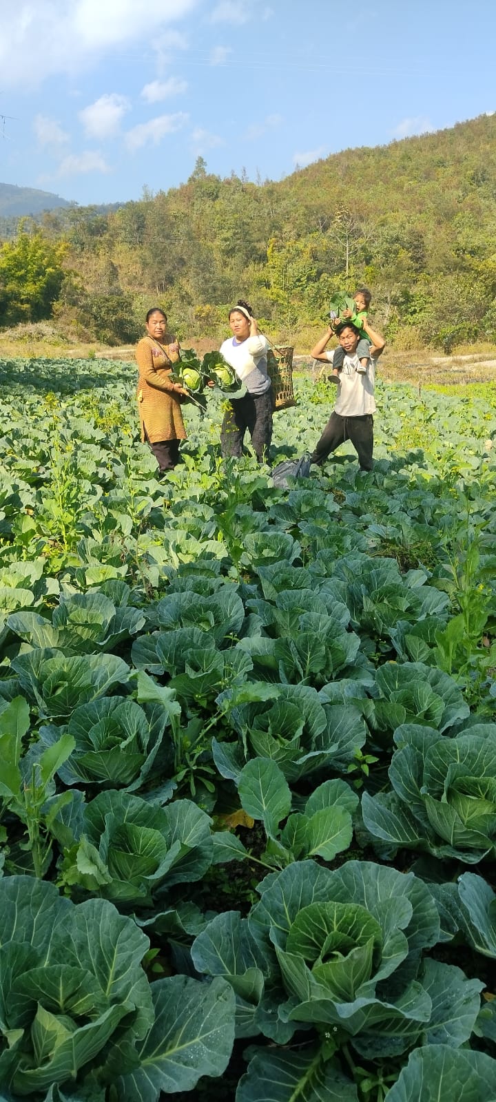 Promoting Sustainable Livelihood through Organic Farming
