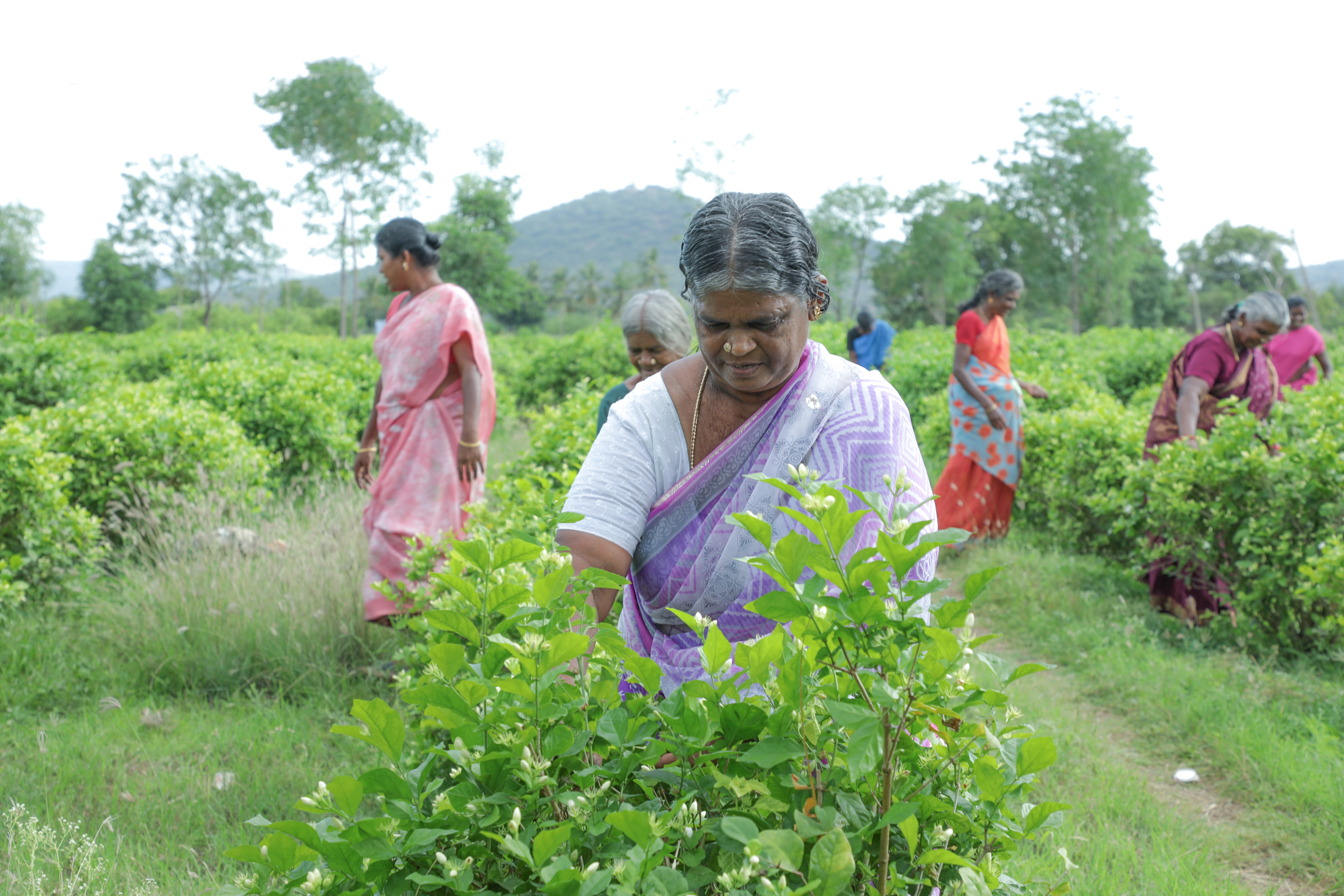 https://1ngo.sgp1.digitaloceanspaces.com/media/ismmadurai/one.jpg