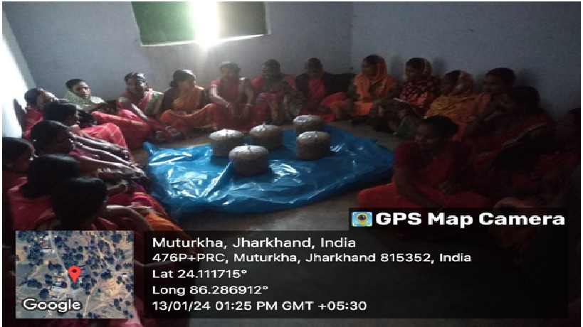 https://1ngo.sgp1.digitaloceanspaces.com/media/lokdeep/mashroom.jpg