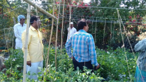 AGRICULTURE STUDY TOUR