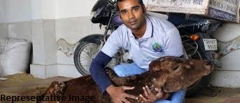 https://1ngo.sgp1.digitaloceanspaces.com/media/mvk/1NGO-00054-Manav_Vikas_Kendra-animal.jpg