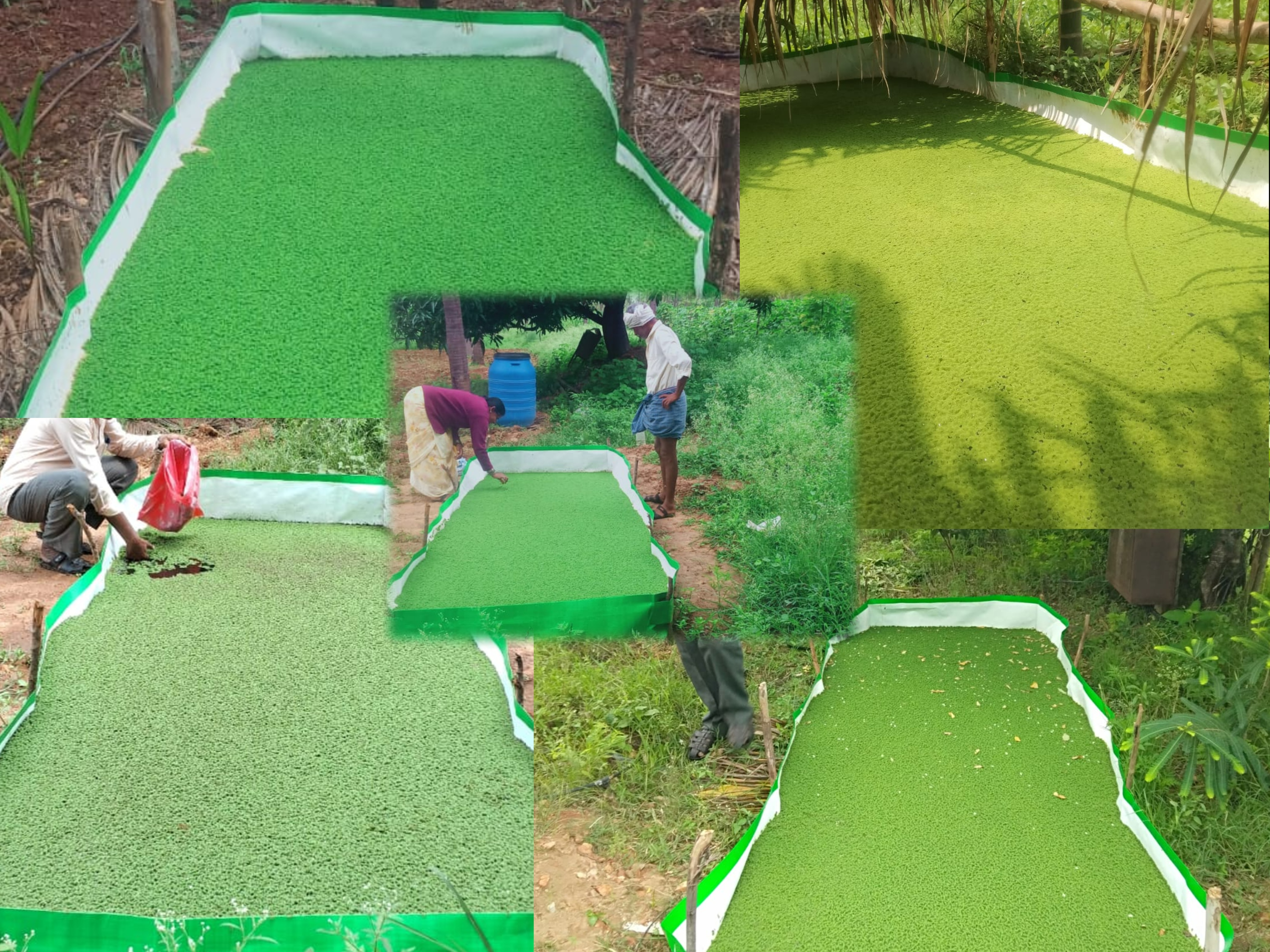 Event Image 1