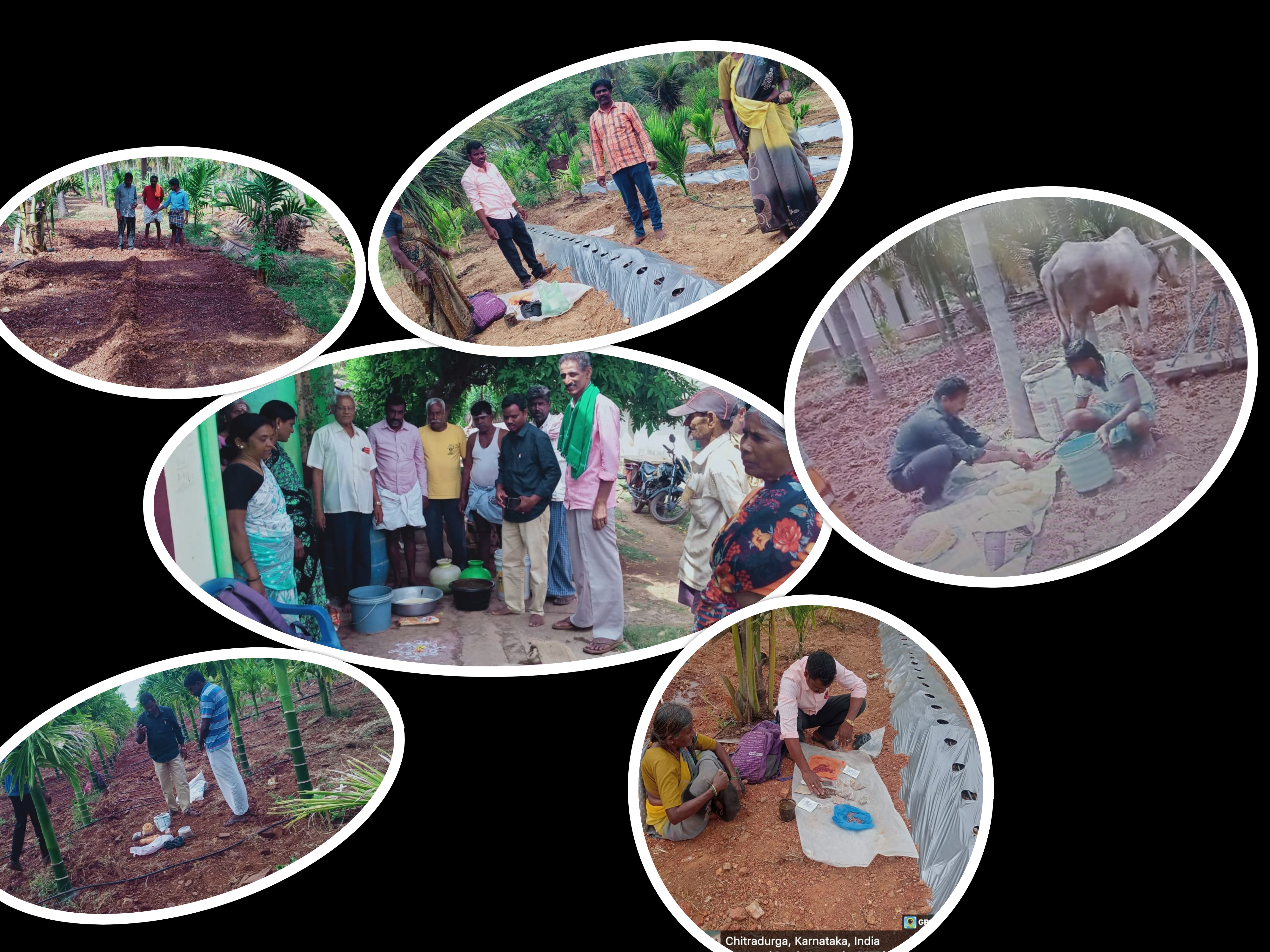 Event Image 1