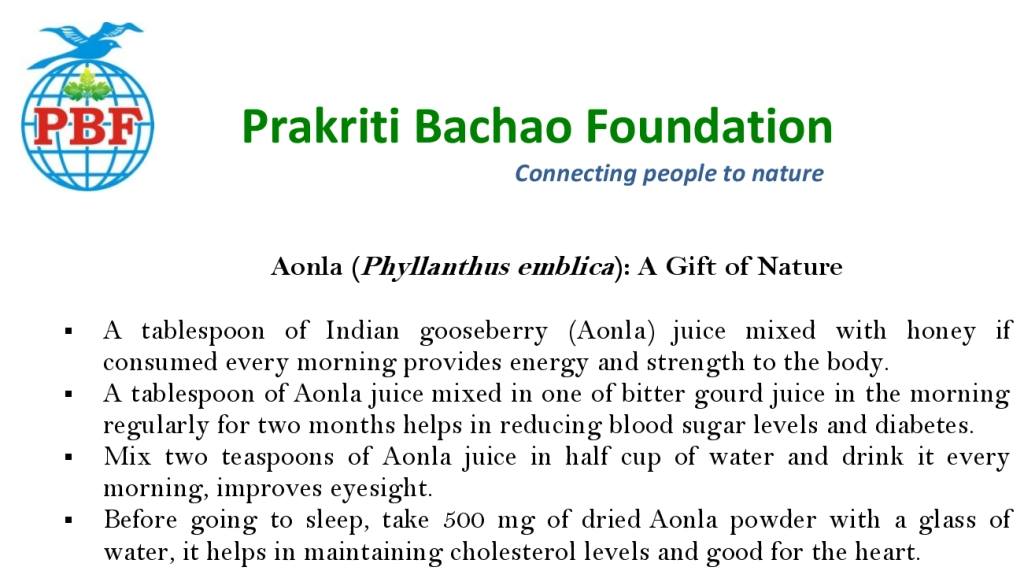 https://1ngo.sgp1.digitaloceanspaces.com/media/prakritibacchao/23215696_1522509421176393_8465830236723531430_o.jpg