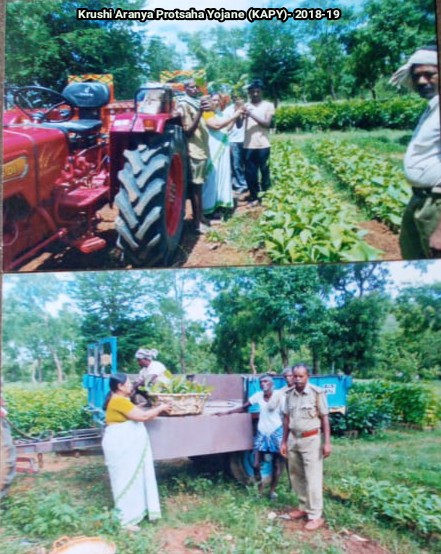 https://1ngo.sgp1.digitaloceanspaces.com/media/saraswati/1NGO-00257-Shri_Saraswati_Mahila_Mandal-Activity-Forest_Department_work.jpg.jpg
