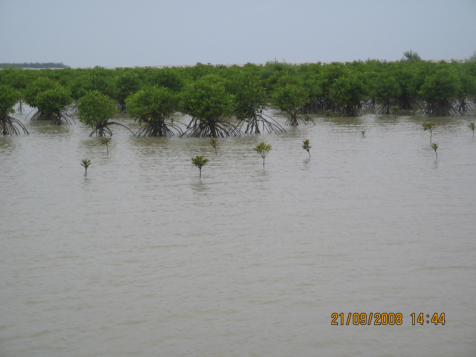Event Image 1