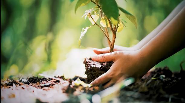 Environmental & Agricultural Awareness